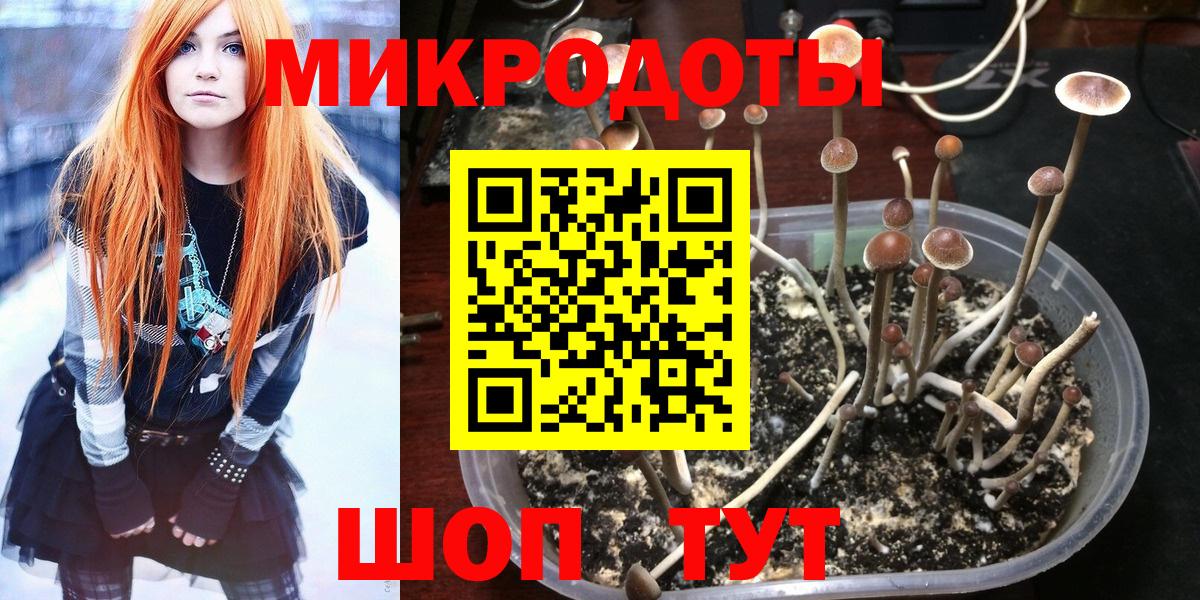 Псилоцибиновые грибы MAGIC MUSHROOMS  Вход с VPN  Галлюциногенные грибы GOLDEN TEACHER  Абакан 